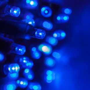 Turquoise Christmas Lights Wayfair Quickview