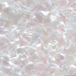 Mother Pearl Decor Wayfair 1 X 8 Authentic Seashell Tile Decorative Liner In White Mother Of Pearl Set 12
