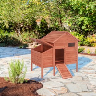 Chicken Coops Youll Love In 2019 Wayfair