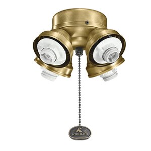 Turtle 4-Light Branched Ceiling Fan Light Kit