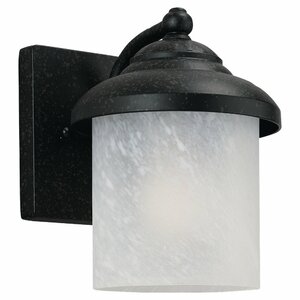 Nicollet 1-Light Outdoor Sconce