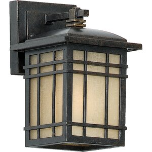 Woodard Rustic 1-Light Outdoor Wall Lantern