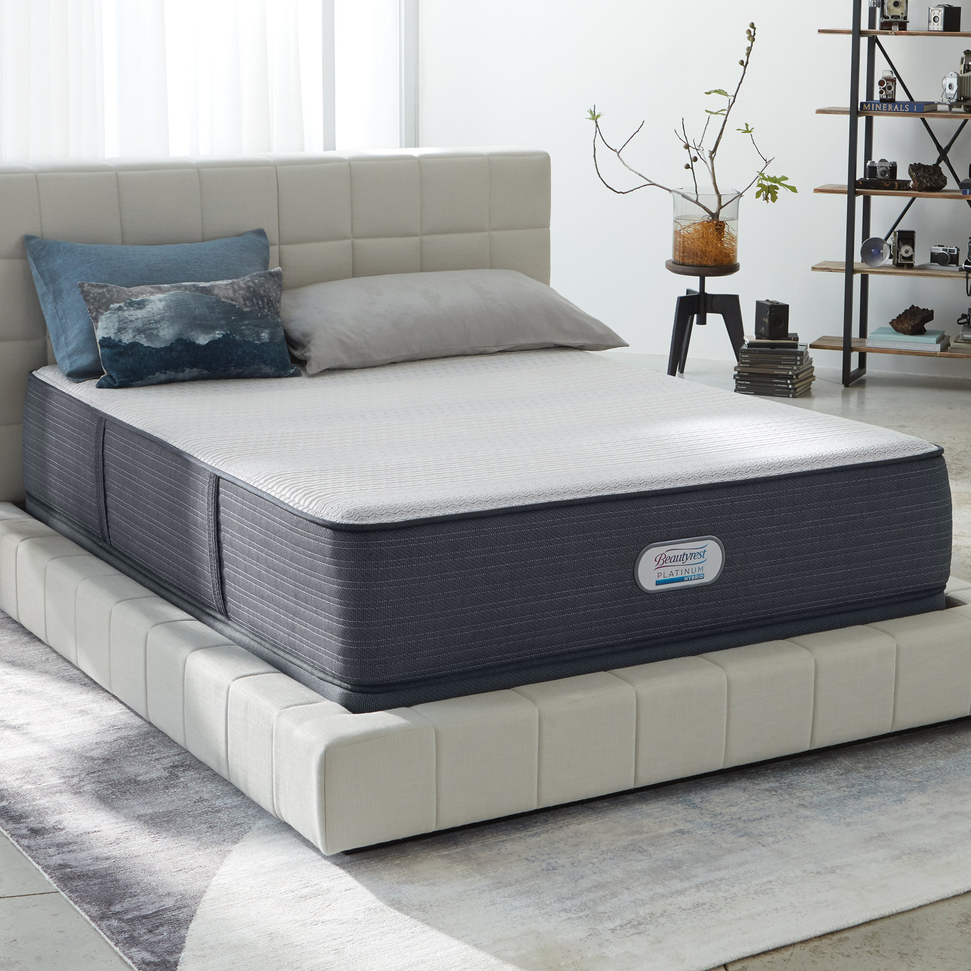 Simmons Beautyrest Platinum 13 Firm Hybrid Mattress And Simmons Beautyrest Platinum 13 Firm Hybrid Mattress And Box Spring Reviews Wayfair