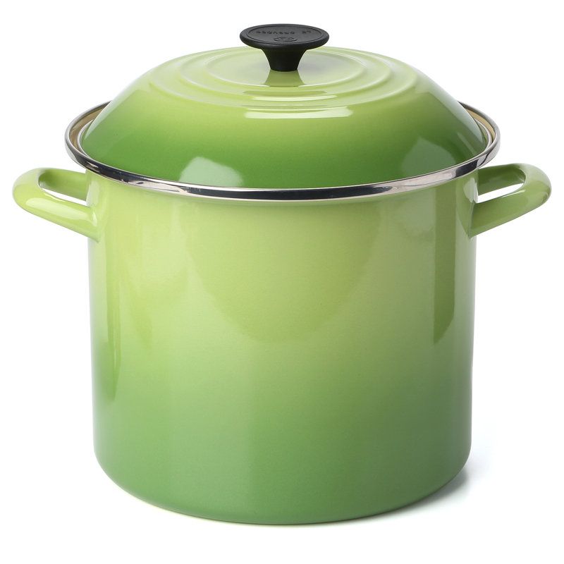 Enamel On Steel Stock Pot with Lid & Reviews AllModern