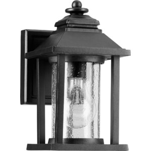 Crusoe 1-Light Outdoor Wall Lantern