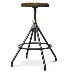 Dhrub Adjustable Height Bar Stool by 17 Stories