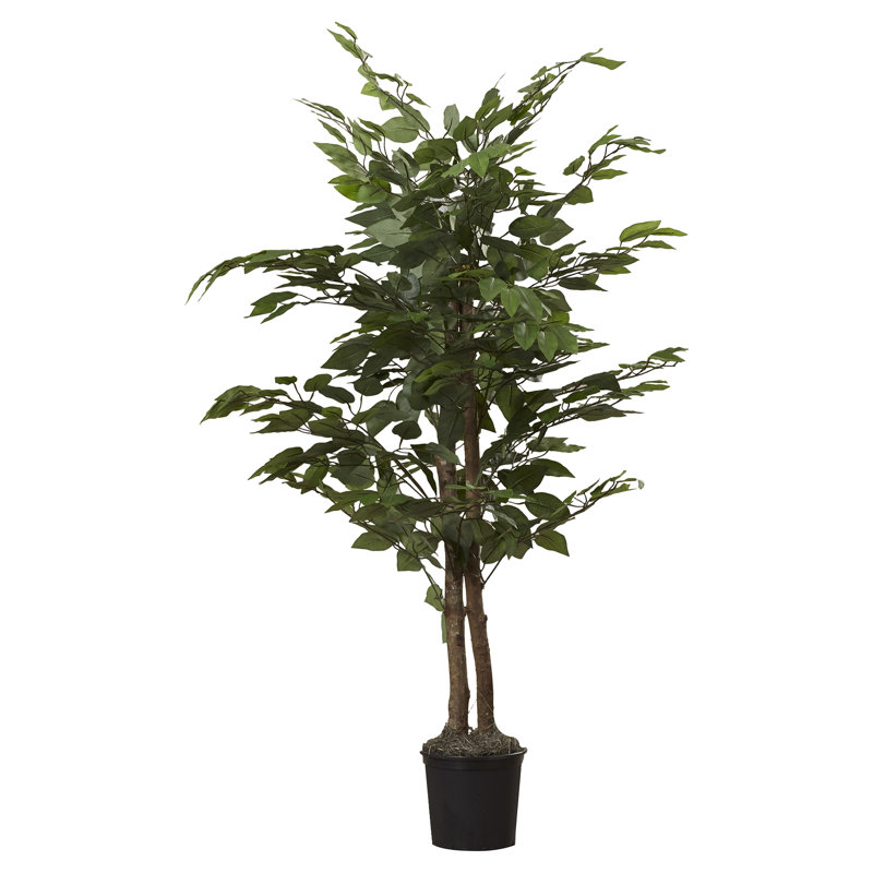 Three Posts Silk Bush Tree in Pot & Reviews Wayfair