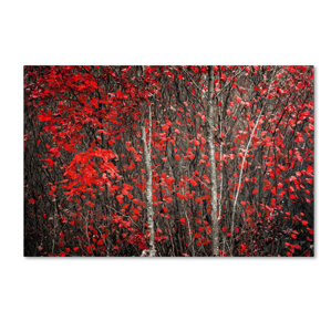 Winter Wall Art winter inspired wall art you'll love | wayfair Winter Wall Art winter inspired wall art you'll love | wayfair