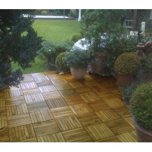 Plantation Acacia 11
