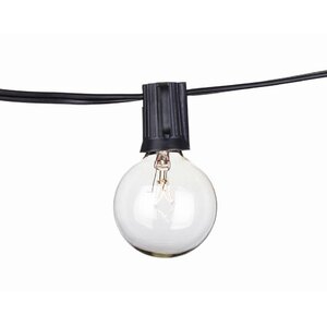 50-Light 50 ft. Globe String Lights