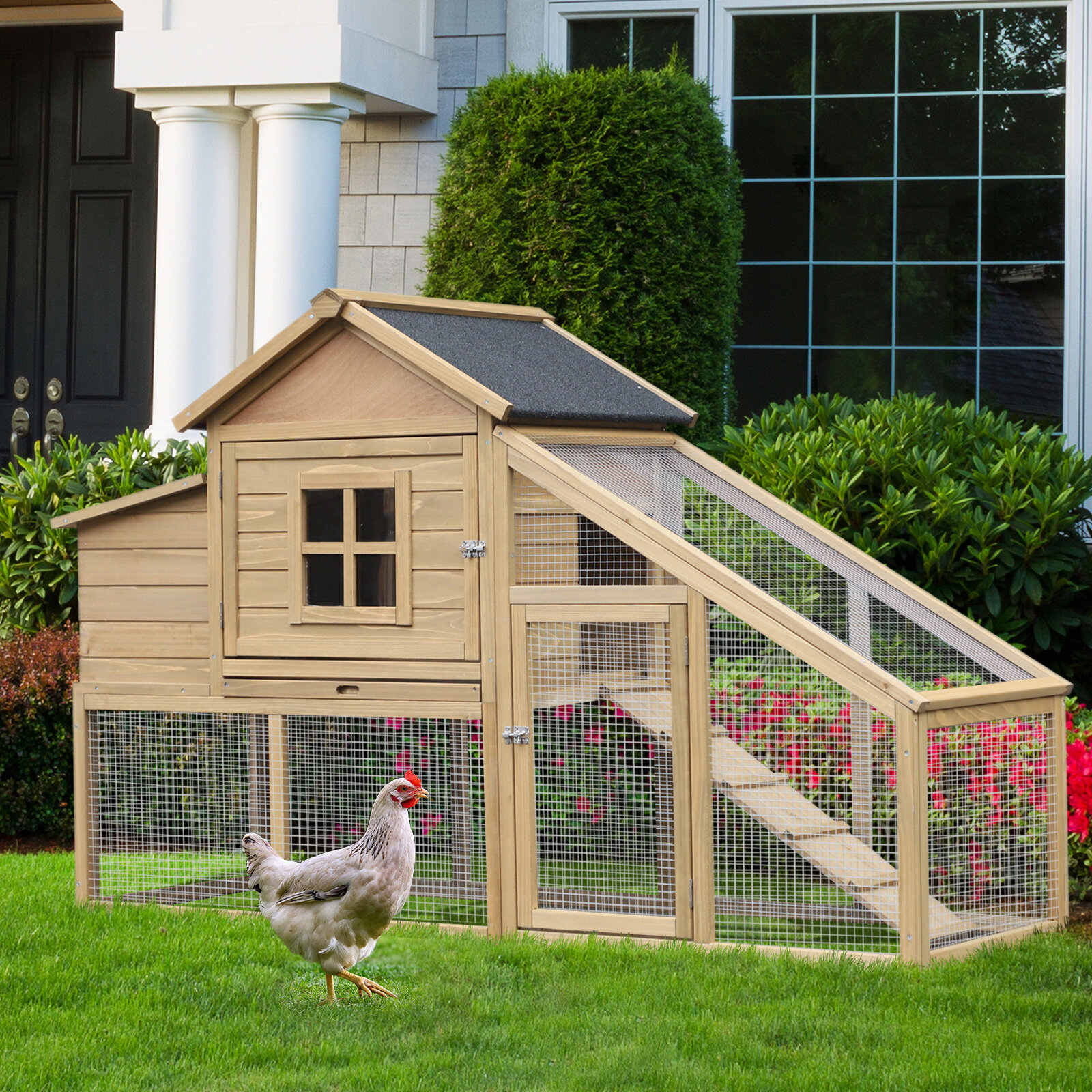 Camarena Outdoor Wooden Raised Chicken Coop With Nesting Box And Chicken Run