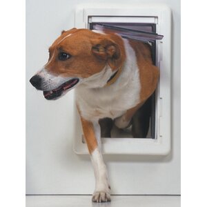 Medium All Weather Pet Door