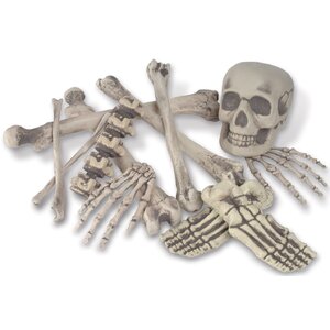 Bag 'O Bones Set (Set of 12)