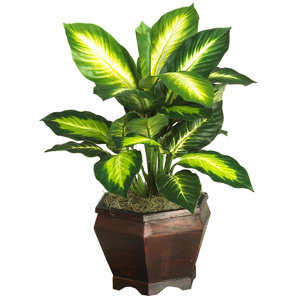 Silk Golden Dieffenbachia Desk Top Plant with Planter