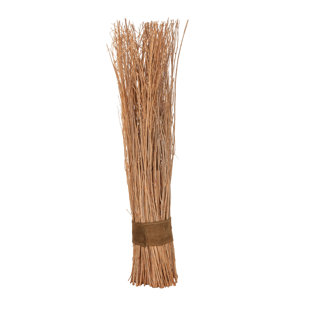 Decorative Dried Branches Wayfair Decorative Twig Branch