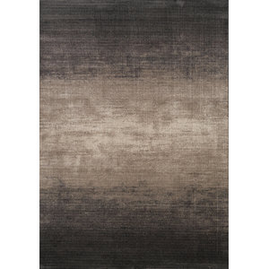Marquette Resolution Faded Brown Area Rug