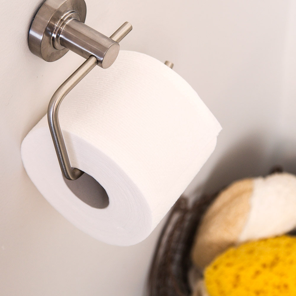 Method Wall Mounted Pivoting Toilet Paper Holder Reviews Allmodern Alteo Vertical Toilet Paper Holder