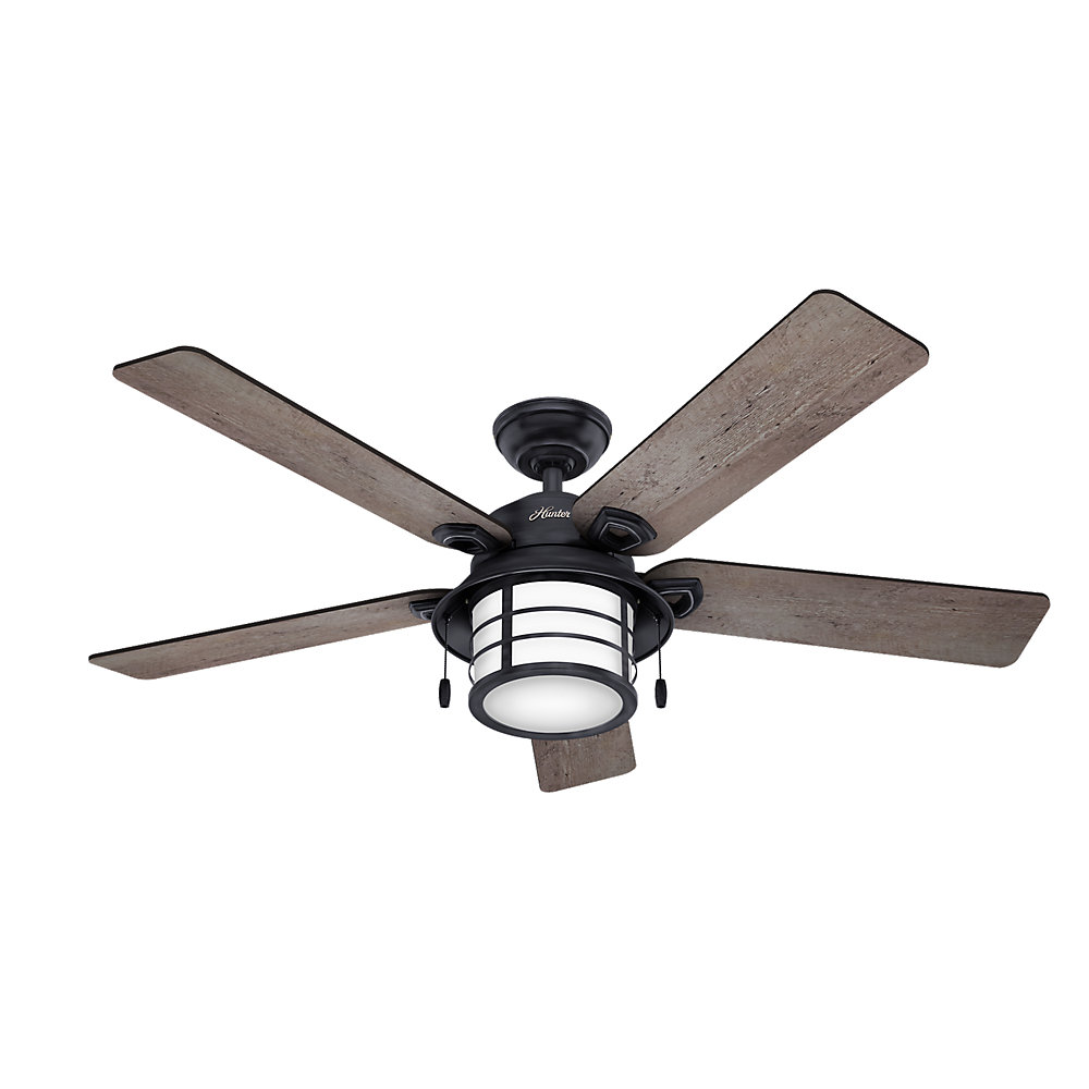 Ceiling Fan Without Candelabra Bulbs Soletcshat Image Bulbs 54 Donegal 5 Blade Ceiling Fan