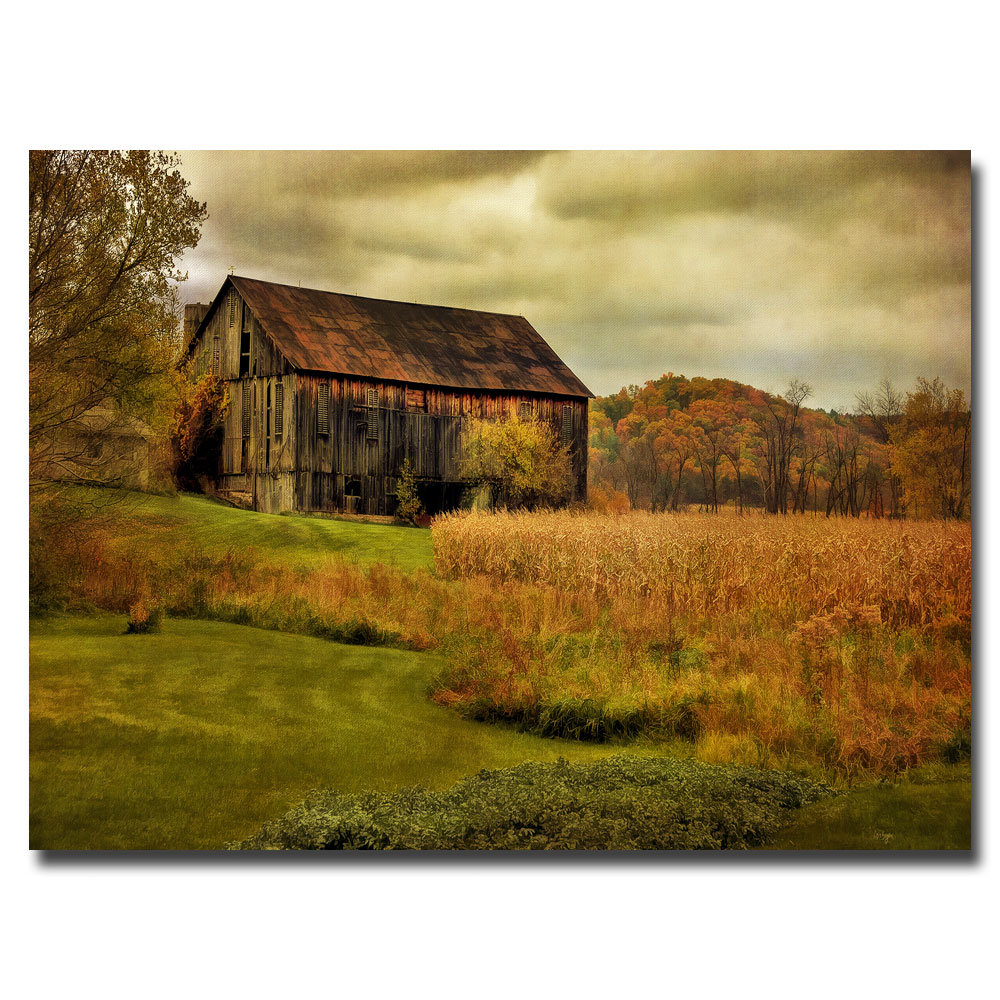Trademark Art "Old Barn on Rainy Day" by Lois Bryan Photographic Print