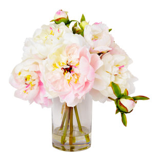 Pink Peony Wallpaper Wayfair Faux Cream Pink Peony