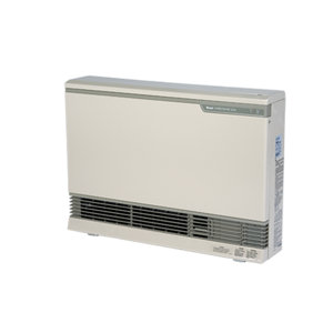 Direct Vent 117 Watt Wall Insert Natural Gas Fan Heater