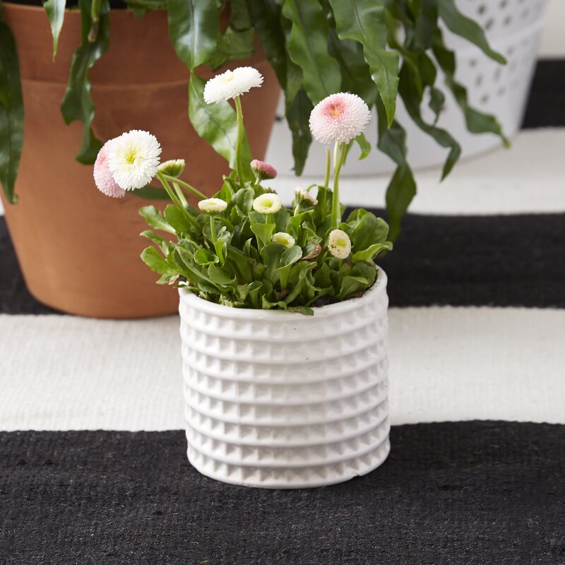 Urban Trends 3-Piece Ceramic Pot Planter Set & Reviews | Wayfair