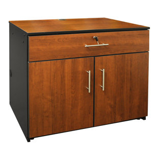 Indoor Storage Cabinets Wayfair 2 Door Storage Cabinet