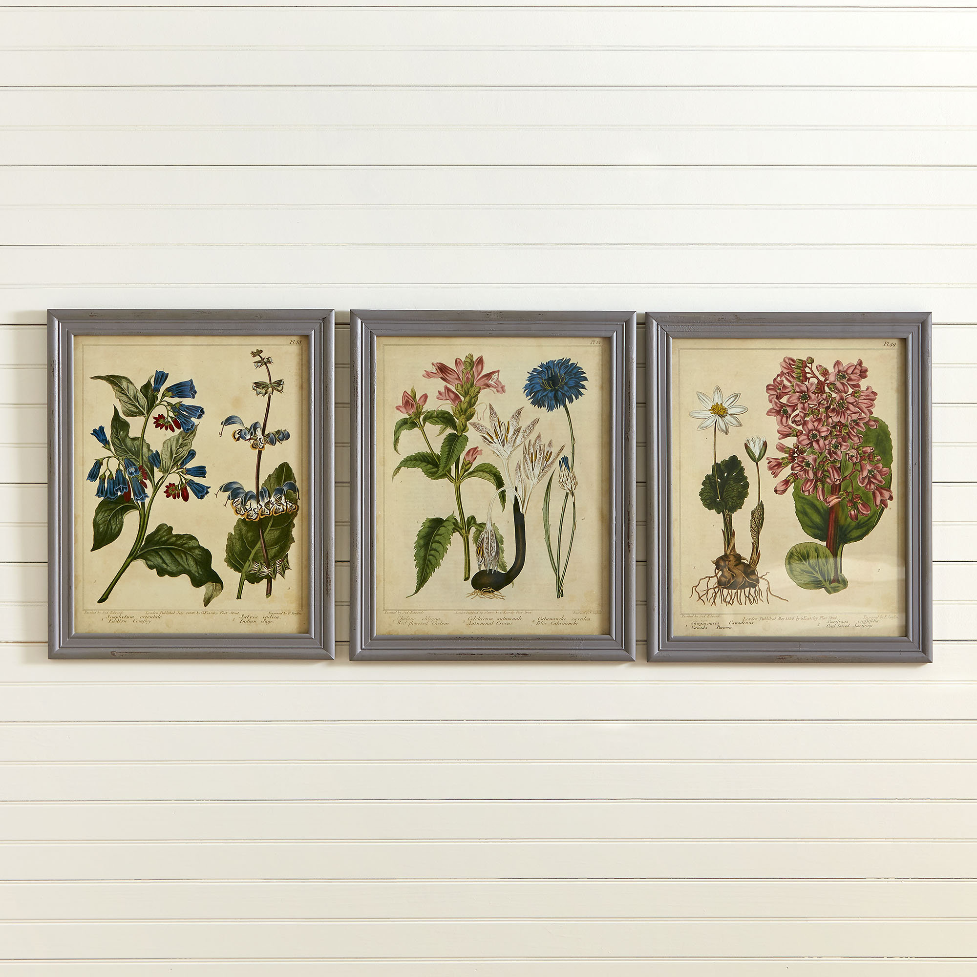Birch Lane Botanical Wall Decor Set