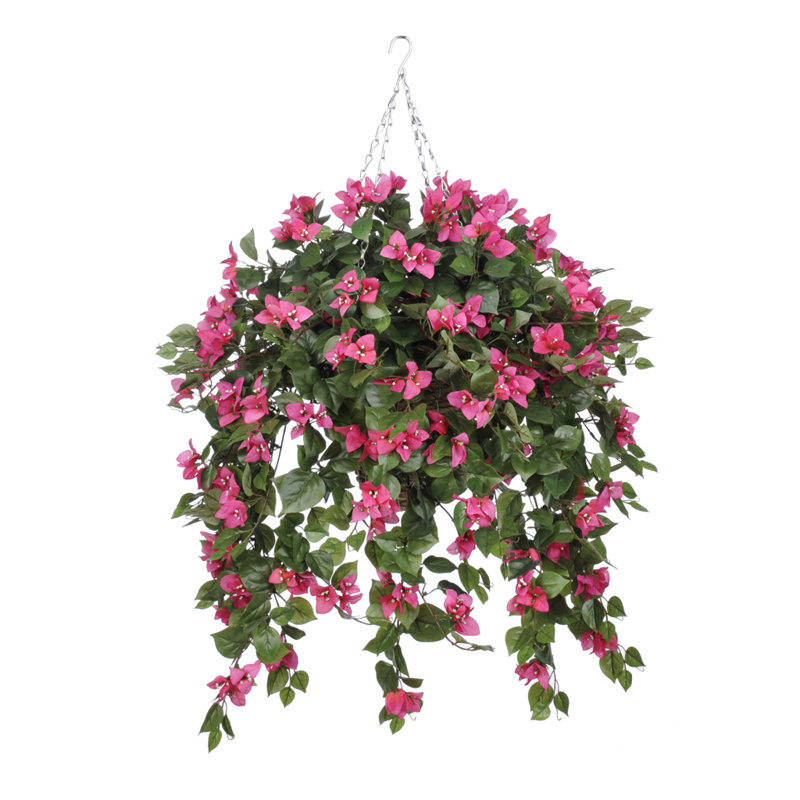 House of Hampton Faux Bougainvillea Trailing Hanging Flowering Plant in