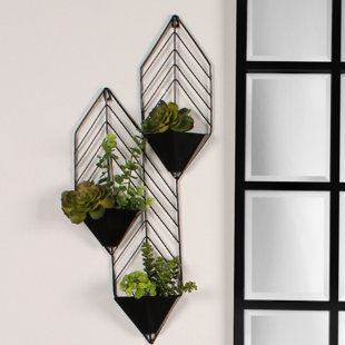 Succulent Wall Planter Wayfair Save To Idea Board