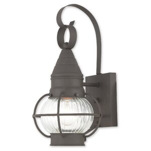 Elmhurst 1-Light Outdoor Wall Lantern