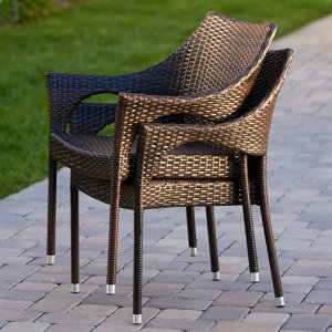 Danna Outdoor Wicker Patio Chair (Set of 2)