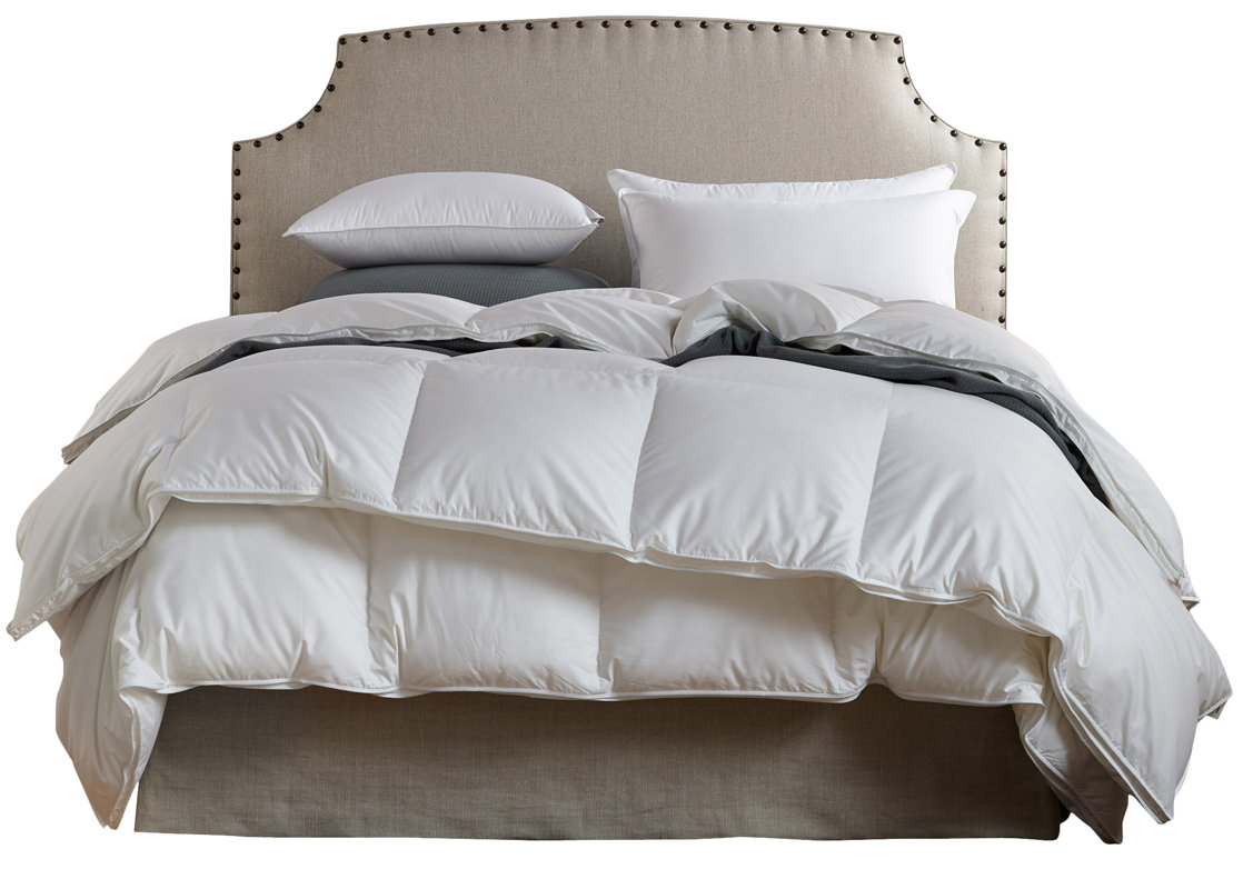 Down Inc Fall Weight Polyester Filled Duvet Insert Reviews Fall Weight Polyester Filled Duvet Insert