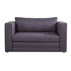 Earlene Sleeper Loveseat by Zipcode Design