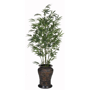 decorative bamboo sticks wayfair