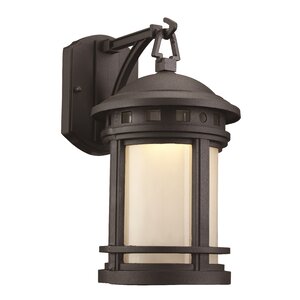 Ashberry 1-Light Outdoor Wall Lantern