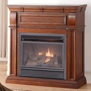 Modern Contemporary Gas Fireplace With Mantels You Ll Love Wayfair