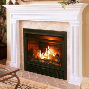 Outdoor Gas Fireplace Insert Wayfair Hardwick Vent Free Recessed Natural Gas Propane Fireplace Insert