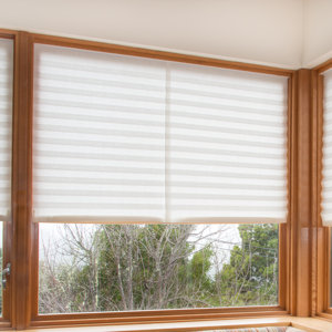 Paper Light Filtering Pleated Shade (Set of 4)