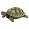 Design Toscano Gilbert the Box Turtle Statue & Reviews | Wayfair