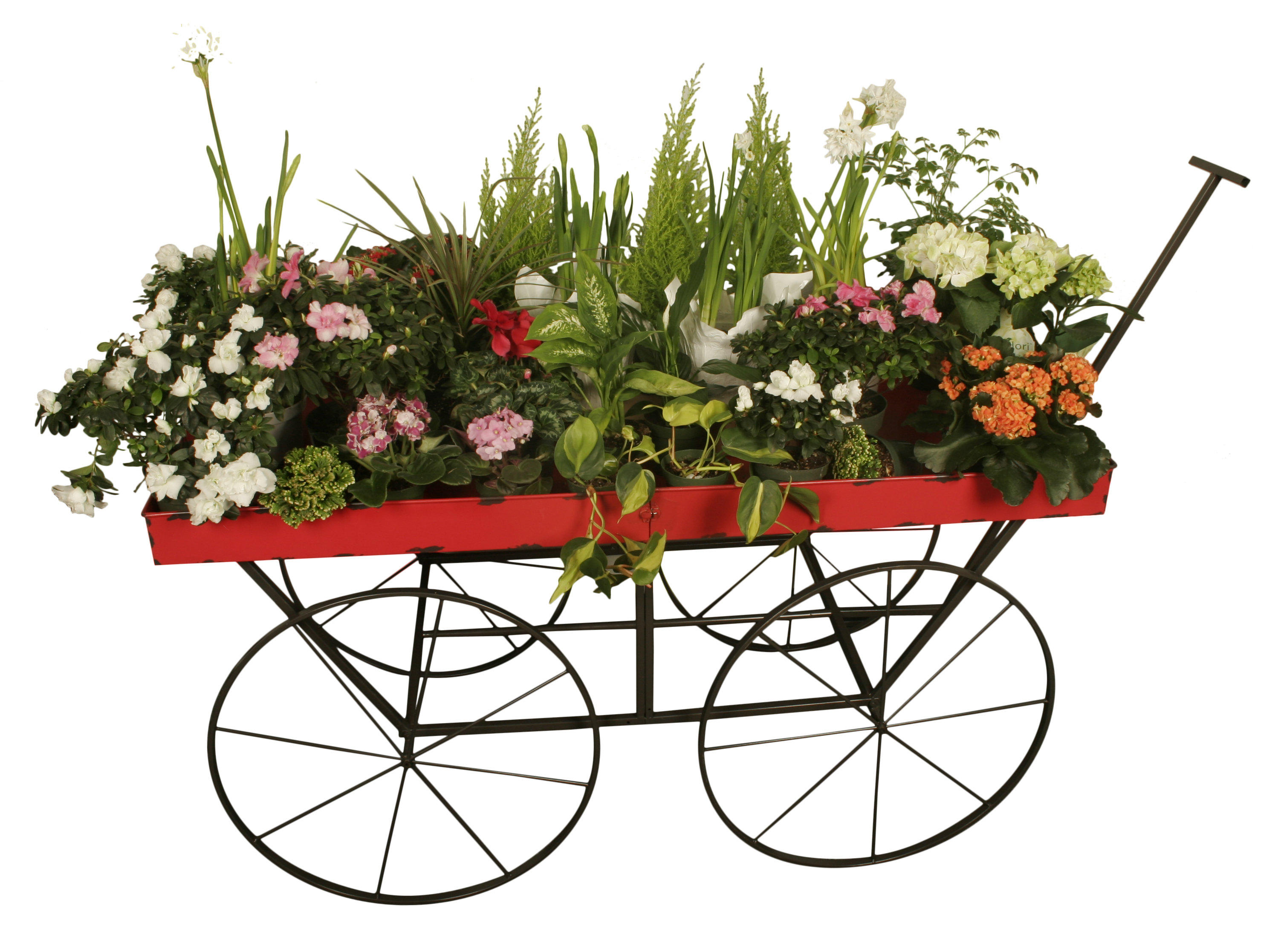 August Grove East Drive Large Distressed Metal Wheelbarrow Planter