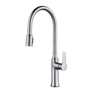 Nola Pull Down Single Handle Kitchen Faucet