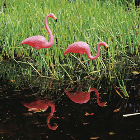 Union Products Don Featherstone Flamingos Statue Reviews Wayfair