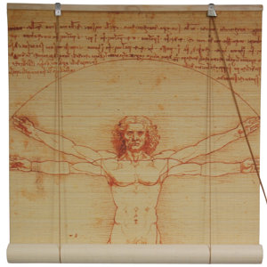 Vitruvian Man Bamboo Roller Blind