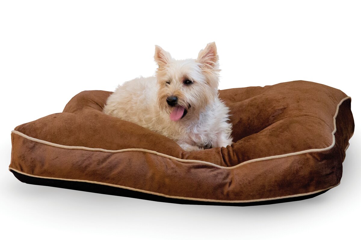 leather dog pillow