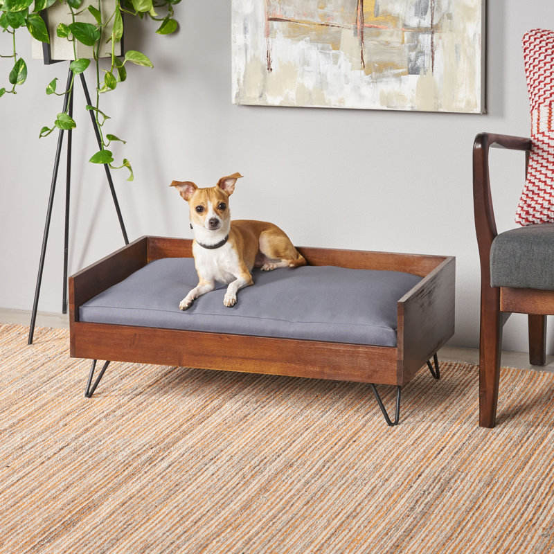 Kaylor Mid Century Modern Dog Sofa