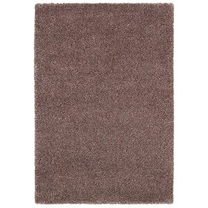 Cairns Copper Area Rug