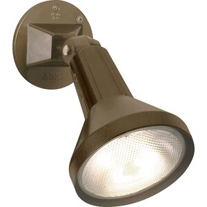 Kearney 1 Head Outdoor Spotlight