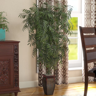 Decorative Bamboo Sticks Vases Wayfair Mini Bamboo Palm Floor Plant In Decorative Vase