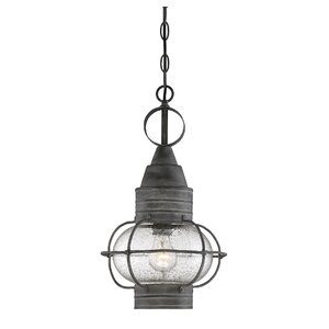 Fallsburg 1-Light Outdoor Hanging Lantern